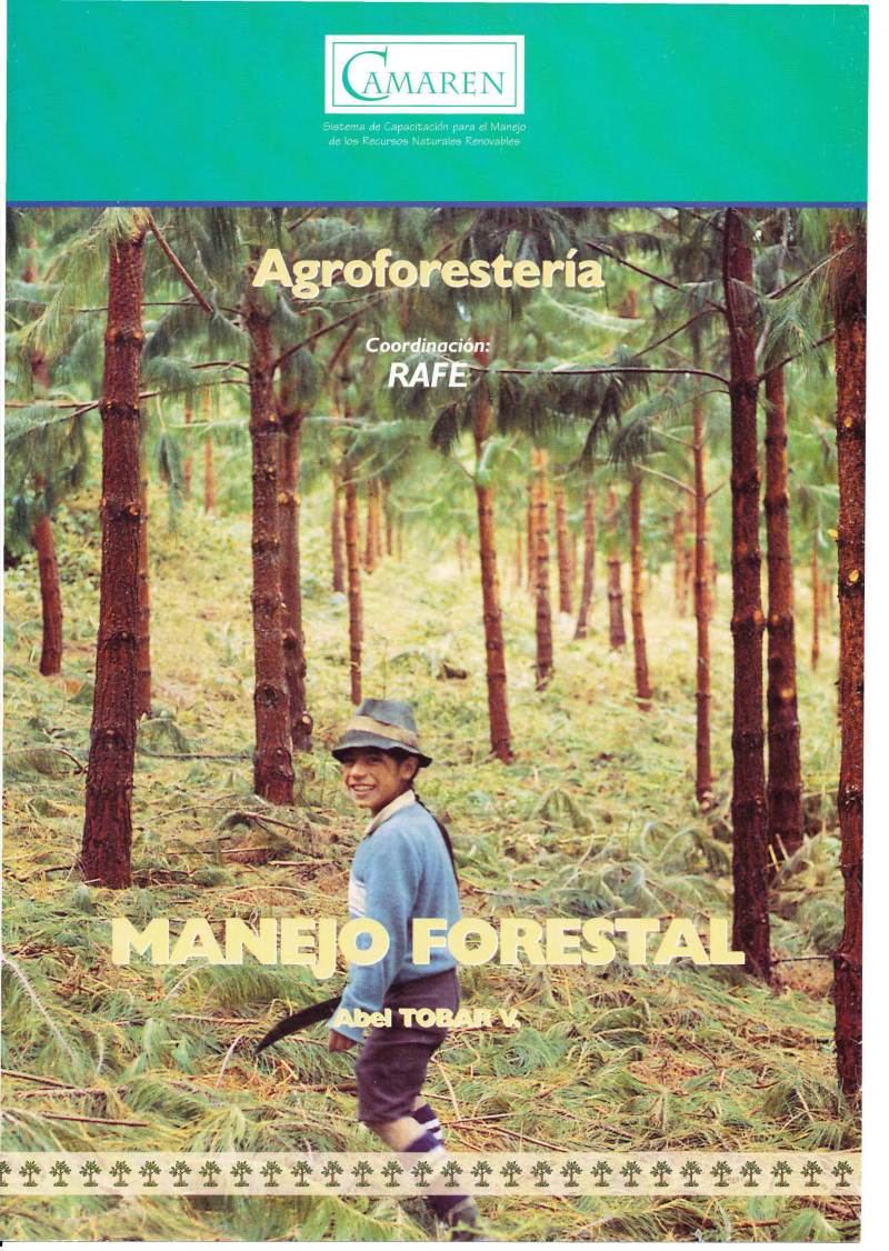 Manejo forestal